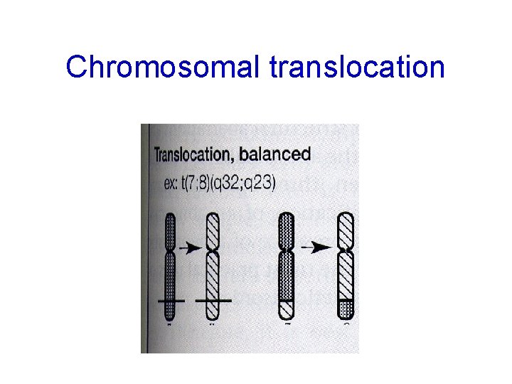 Chromosomal translocation 