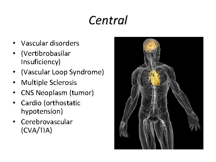 Central • Vascular disorders • (Vertibrobasilar Insuficiency) • (Vascular Loop Syndrome) • Multiple Sclerosis Central • Vascular disorders • (Vertibrobasilar Insuficiency) • (Vascular Loop Syndrome) • Multiple Sclerosis