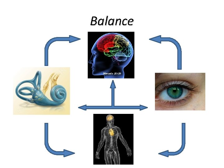 Balance Mercado 2013© Balance Mercado 2013©