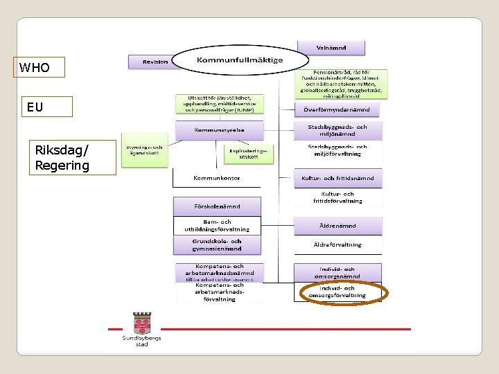 WHO EU Riksdag/ Regering 