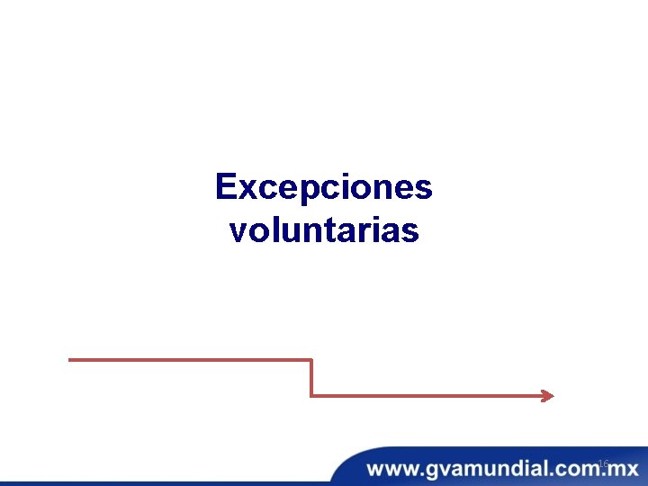 Excepciones voluntarias 16 Excepciones voluntarias 16