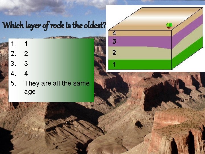 Which layer of rock is the oldest? 1. 2. 3. 4. 5. 1 2