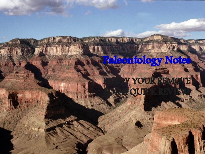 Paleontology Notes READY YOUR REMOTE FOR A QUICK REVIEW 