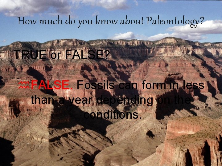 How much do you know about Paleontology? TRUE or FALSE? h. FALSE. Fossils can