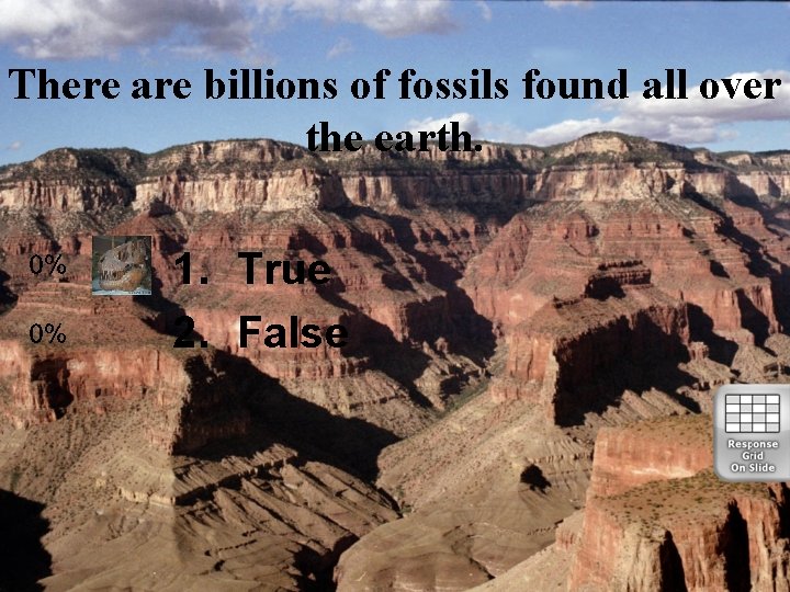 There are billions of fossils found all over the earth. 1. True 2. False