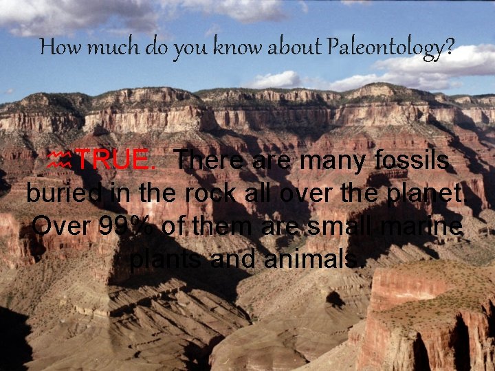 How much do you know about Paleontology? h. TRUE. There are many fossils buried