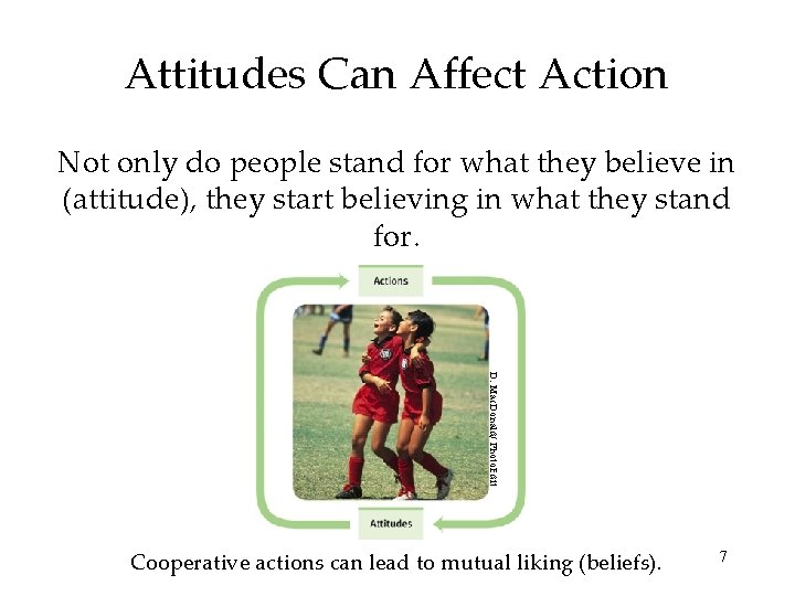 Attitudes Can Affect Action Not only do people stand for what they believe in