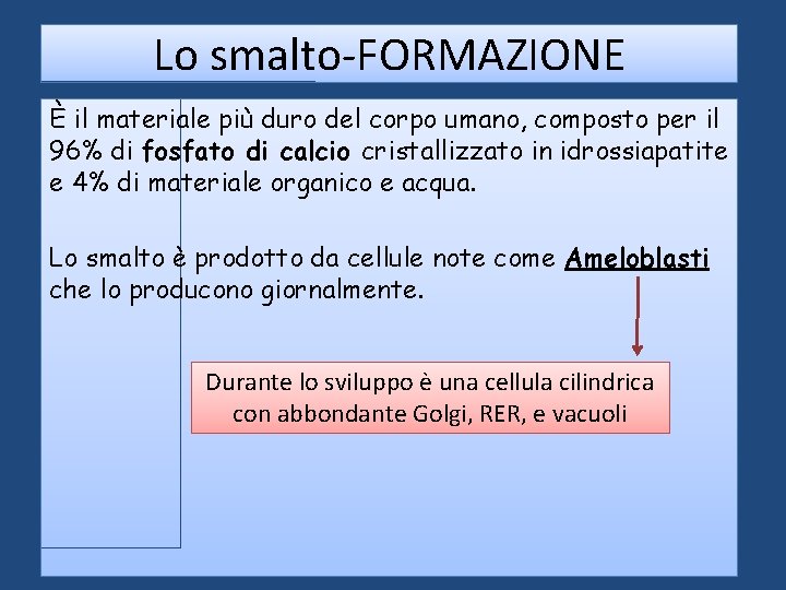 Lo smalto-FORMAZIONE È il materiale più duro del corpo umano, composto per il 96% Lo smalto-FORMAZIONE È il materiale più duro del corpo umano, composto per il 96%