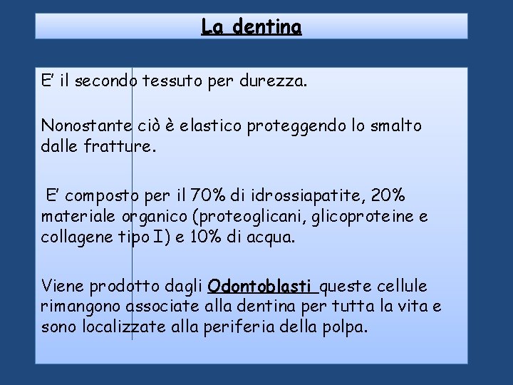 La dentina E’ il secondo tessuto per durezza. Nonostante ciò è elastico proteggendo lo La dentina E’ il secondo tessuto per durezza. Nonostante ciò è elastico proteggendo lo