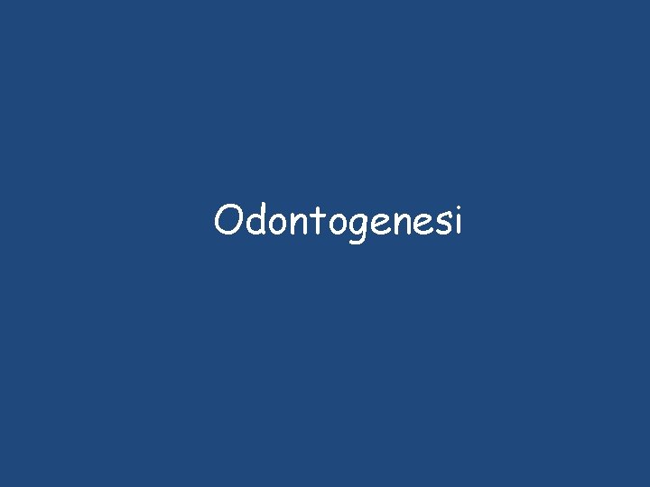 Odontogenesi Odontogenesi