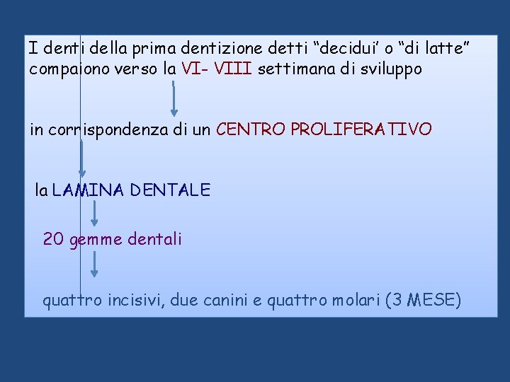I denti della prima dentizione detti “decidui’ o “di latte” compaiono verso la VI- I denti della prima dentizione detti “decidui’ o “di latte” compaiono verso la VI-