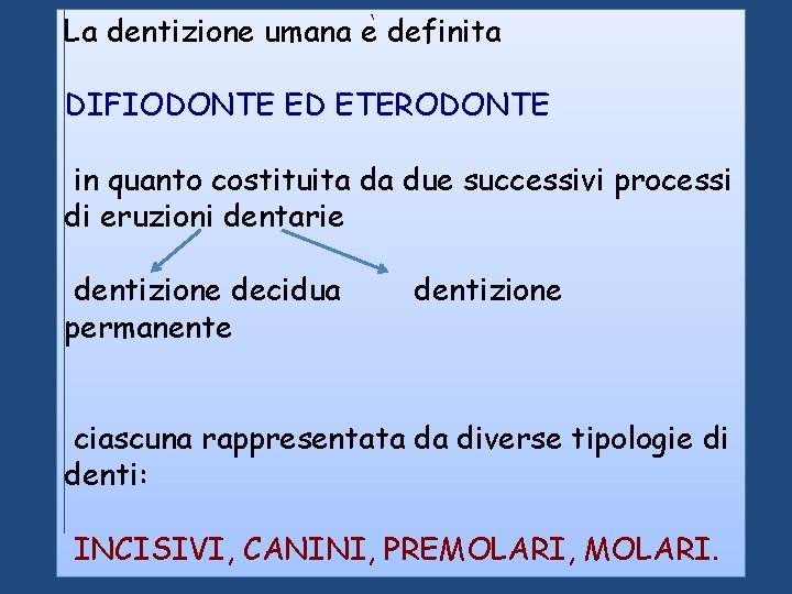 La dentizione umana e definita DIFIODONTE ED ETERODONTE in quanto costituita da due successivi La dentizione umana e definita DIFIODONTE ED ETERODONTE in quanto costituita da due successivi