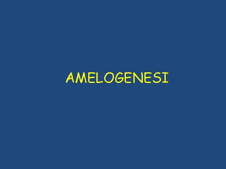 AMELOGENESI AMELOGENESI