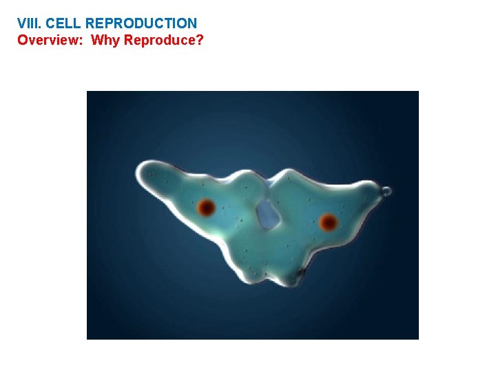 VIII. CELL REPRODUCTION Overview: Why Reproduce? 