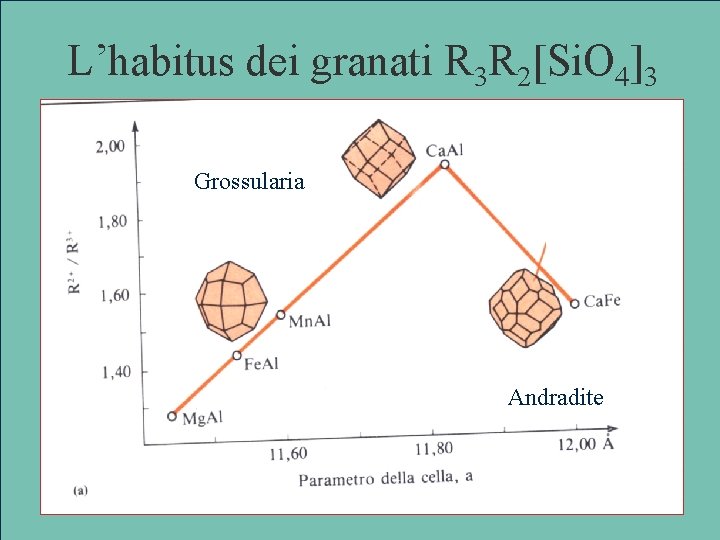 L’habitus dei granati R 3 R 2[Si. O 4]3 Morfologia dei granati Grossularia Andradite