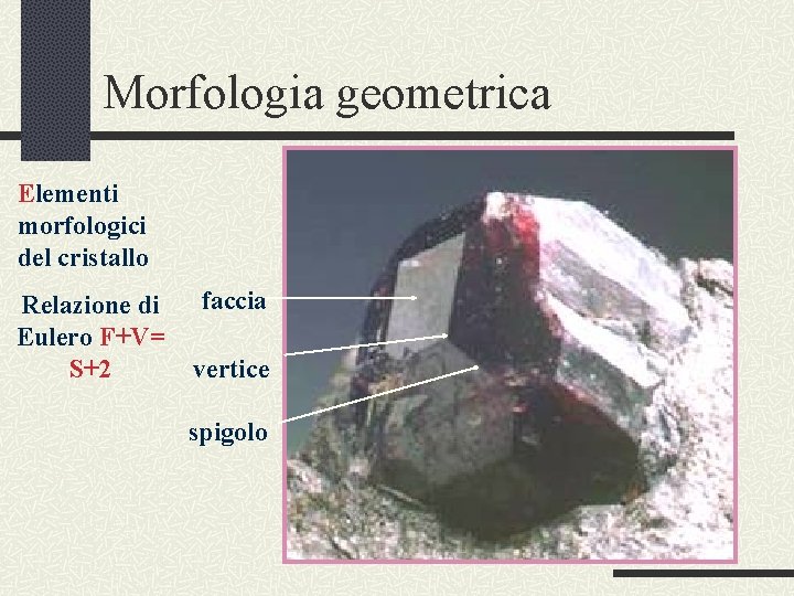 Morfologia geometrica Elementi morfologici del cristallo Relazione di Eulero F+V= S+2 faccia vertice spigolo