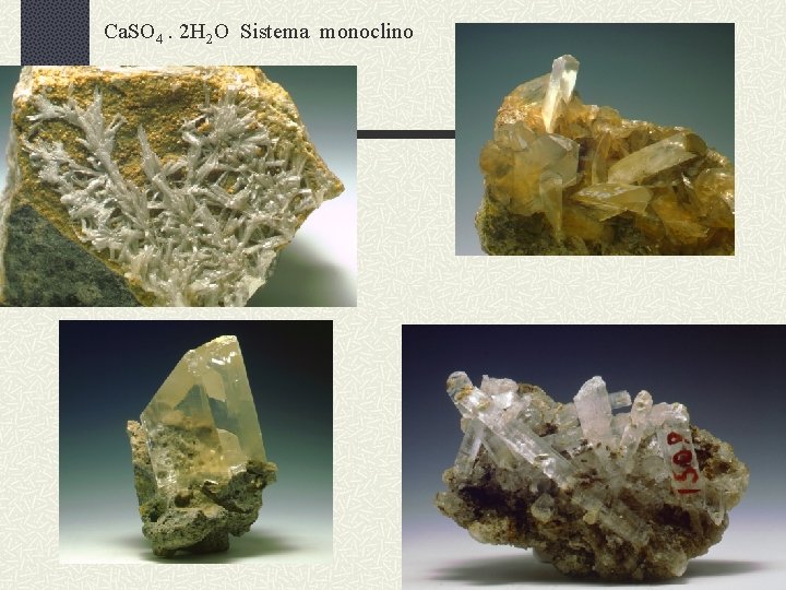 Ca. SO 4. 2 H 2 O Sistema monoclino 