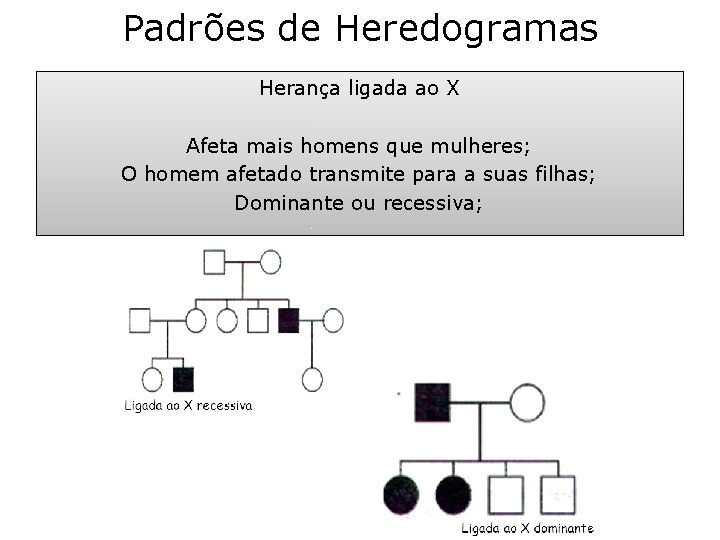 Padrões de Heredogramas Herança ligada ao X Afeta mais homens que mulheres; O homem Padrões de Heredogramas Herança ligada ao X Afeta mais homens que mulheres; O homem