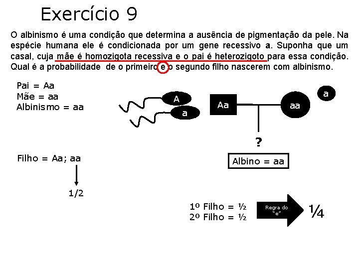 Exercício 9 O albinismo é uma condição que determina a ausência de pigmentação da Exercício 9 O albinismo é uma condição que determina a ausência de pigmentação da