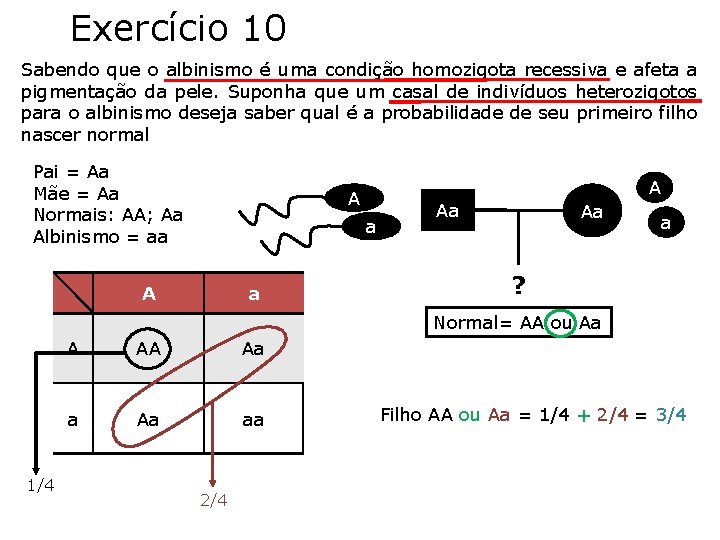 Exercício 10 Sabendo que o albinismo é uma condição homozigota recessiva e afeta a Exercício 10 Sabendo que o albinismo é uma condição homozigota recessiva e afeta a