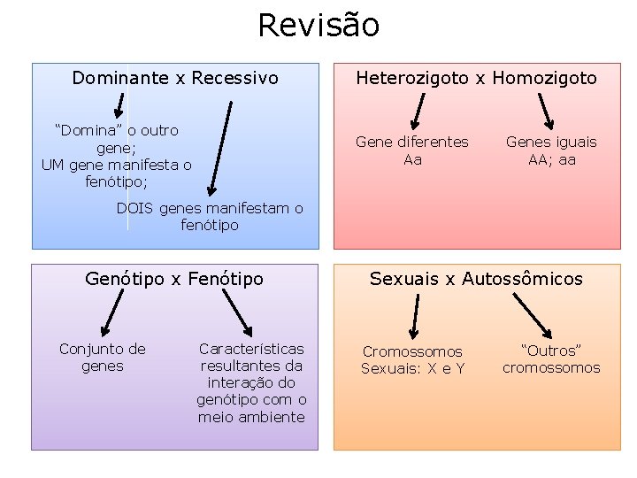Revisão Dominante x Recessivo “Domina” o outro gene; UM gene manifesta o fenótipo; Heterozigoto Revisão Dominante x Recessivo “Domina” o outro gene; UM gene manifesta o fenótipo; Heterozigoto