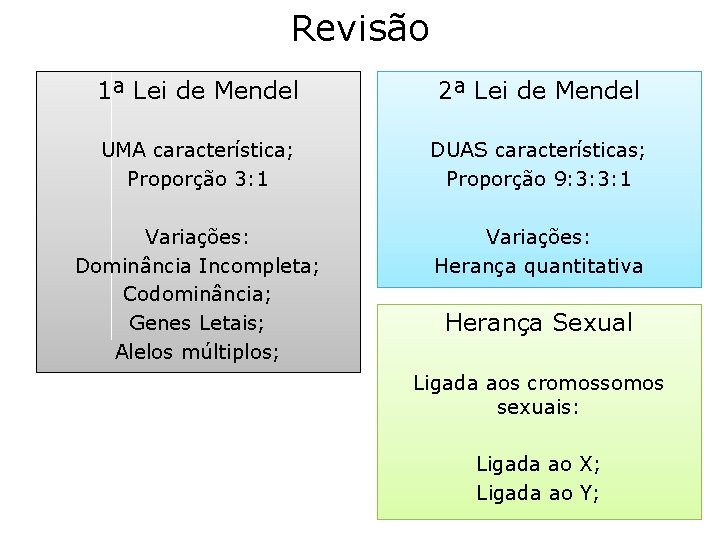 Revisão 1ª Lei de Mendel 2ª Lei de Mendel UMA característica; Proporção 3: 1 Revisão 1ª Lei de Mendel 2ª Lei de Mendel UMA característica; Proporção 3: 1
