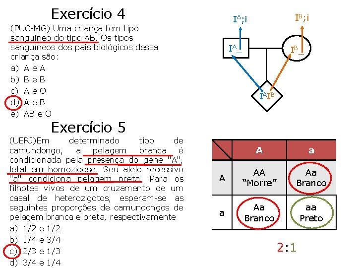 Exercício 4 IB; i IA; i (PUC-MG) Uma criança tem tipo sanguíneo do tipo Exercício 4 IB; i IA; i (PUC-MG) Uma criança tem tipo sanguíneo do tipo