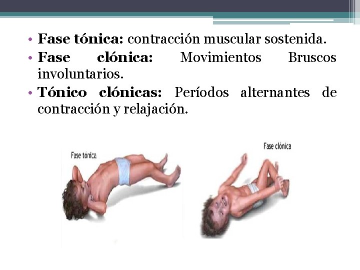 • Fase tónica: contracción muscular sostenida. • Fase clónica: Movimientos Bruscos involuntarios. • • Fase tónica: contracción muscular sostenida. • Fase clónica: Movimientos Bruscos involuntarios. •