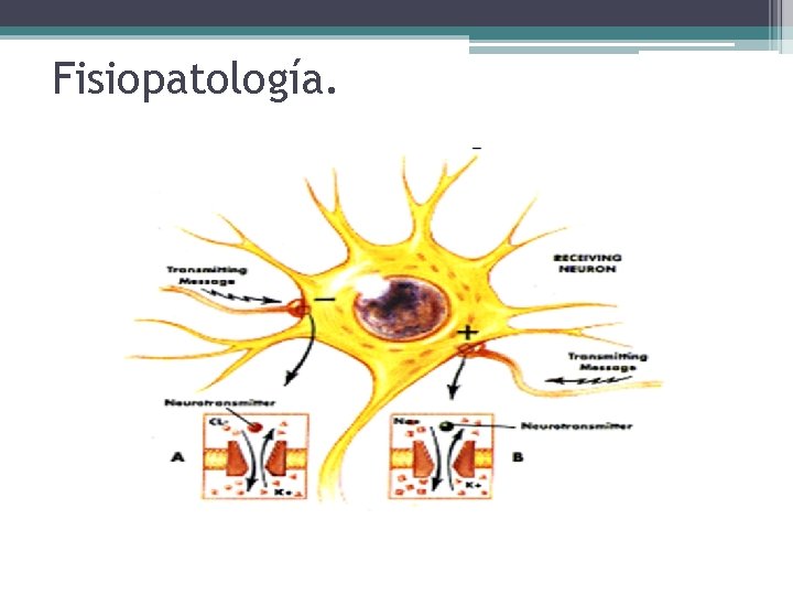 Fisiopatología. Fisiopatología.