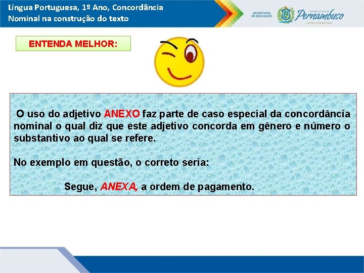 Língua Portuguesa, 1º Ano, Concordância Nominal na construção do texto ENTENDA MELHOR: O uso