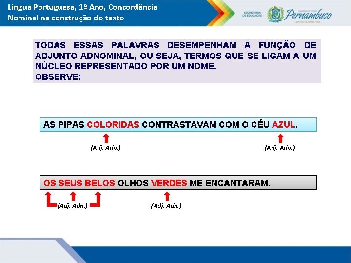 Língua Portuguesa, 1º Ano, Concordância Nominal na construção do texto TODAS ESSAS PALAVRAS DESEMPENHAM