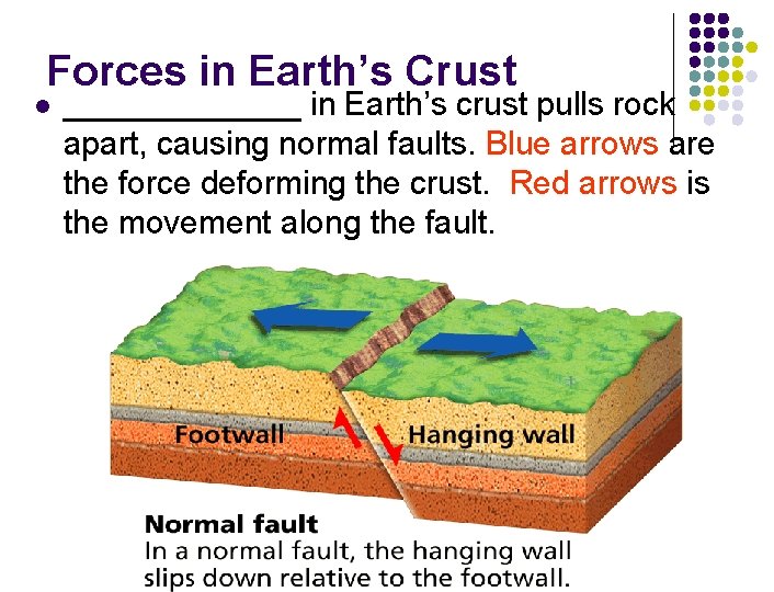 Forces in Earth’s Crust l _______ in Earth’s crust pulls rock apart, causing normal