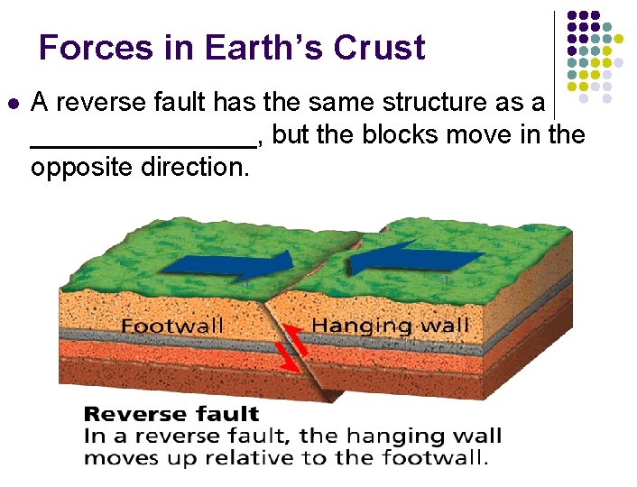 Forces in Earth’s Crust l A reverse fault has the same structure as a