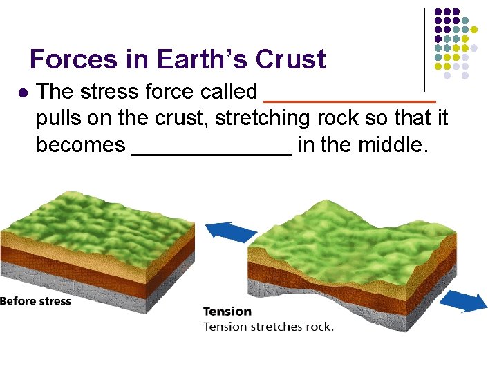 Forces in Earth’s Crust l The stress force called _______ pulls on the crust,