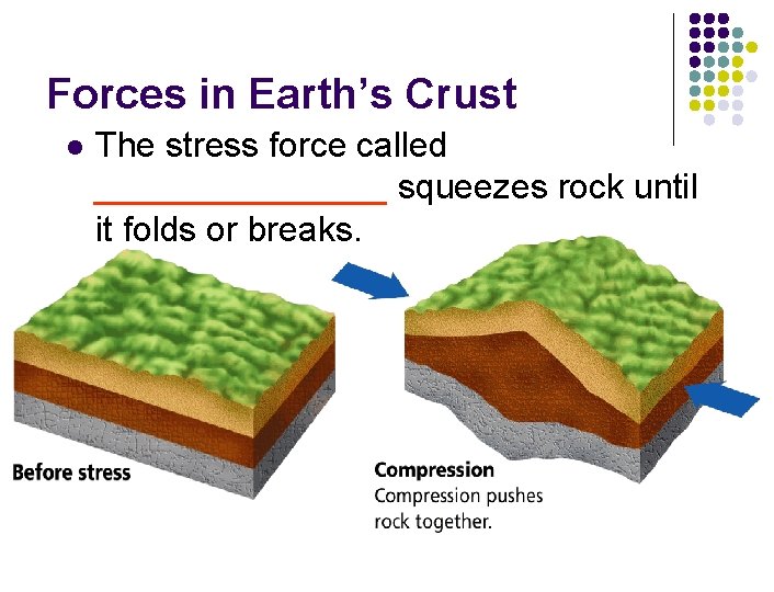 Forces in Earth’s Crust l The stress force called ________ squeezes rock until it