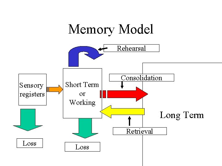 Memory Model Rehearsal Sensory registers Short Term or Working Consolidation Long Term Retrieval Loss