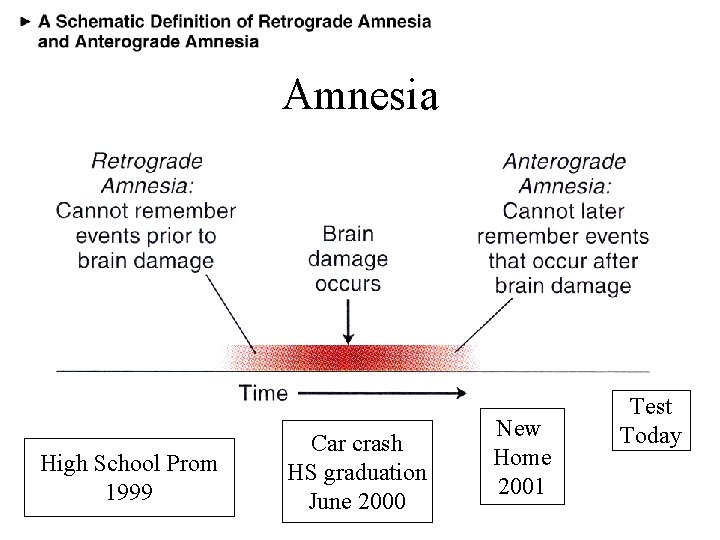 Amnesia High School Prom 1999 Car crash HS graduation June 2000 New Home 2001