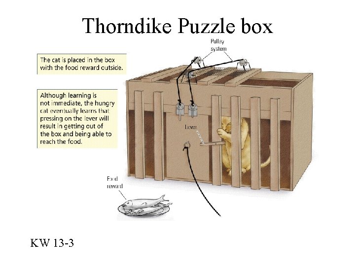 Thorndike Puzzle box KW 13 -3 