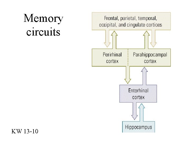 Memory circuits KW 13 -10 