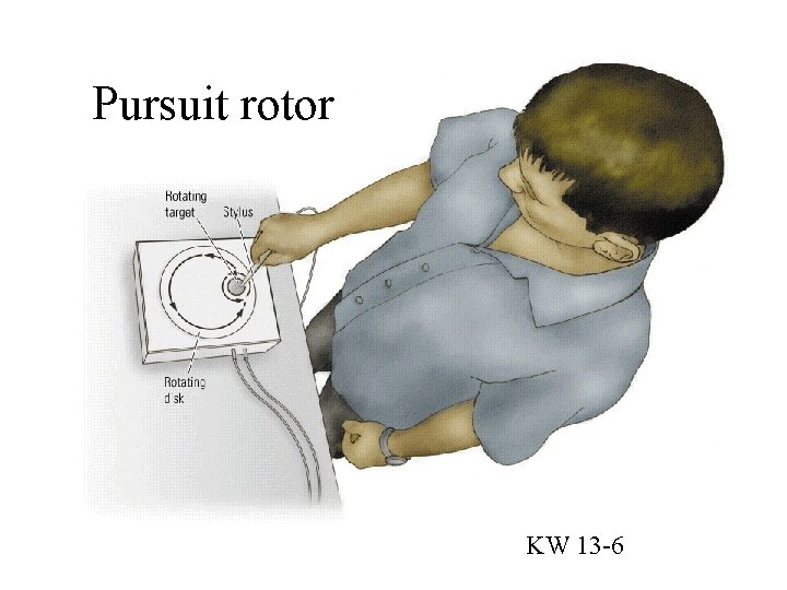 Pursuit rotor KW 13 -6 