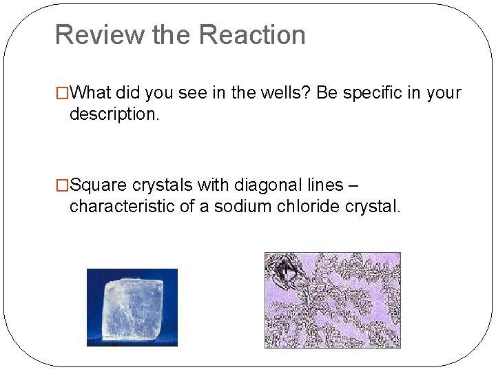 Review the Reaction �What did you see in the wells? Be specific in your