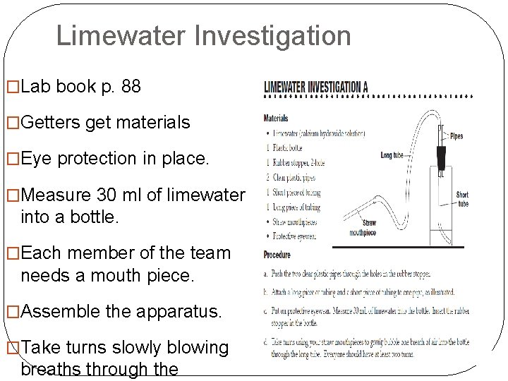 Limewater Investigation �Lab book p. 88 �Getters get materials �Eye protection in place. �Measure