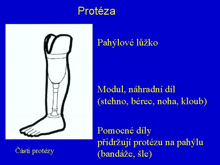 Protéza Pahýlové lůžko Modul, náhradní díl (stehno, bérec, noha, kloub) Části protézy Pomocné díly
