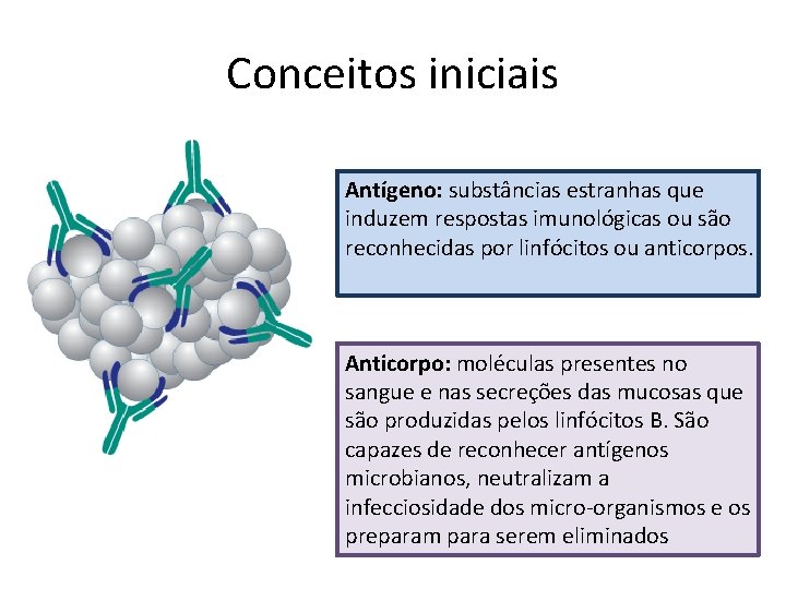 Conceitos iniciais Antígeno: substâncias estranhas que induzem respostas imunológicas ou são reconhecidas por linfócitos