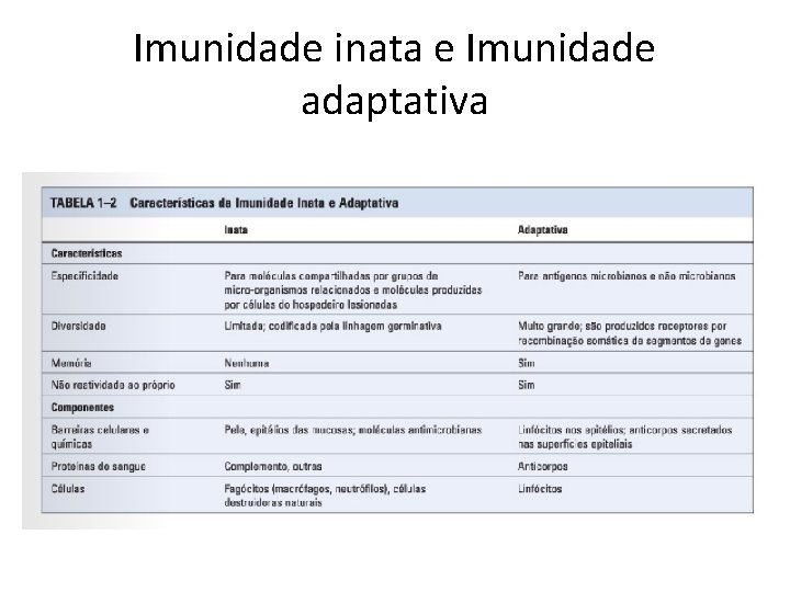 Imunidade inata e Imunidade adaptativa 