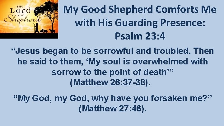 My Good Shepherd Comforts Me with His Guarding Presence: Psalm 23: 4 “Jesus began My Good Shepherd Comforts Me with His Guarding Presence: Psalm 23: 4 “Jesus began