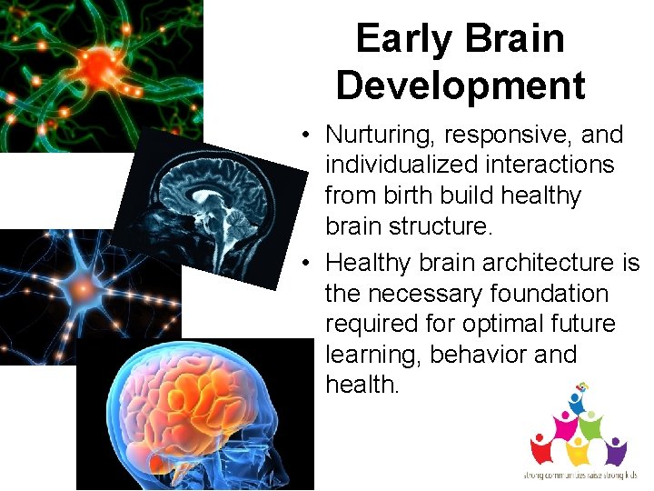 Early Brain Development • Nurturing, responsive, and individualized interactions from birth build healthy brain