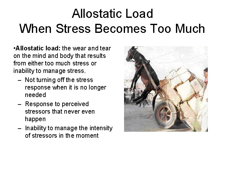 Allostatic Load When Stress Becomes Too Much • Allostatic load: the wear and tear