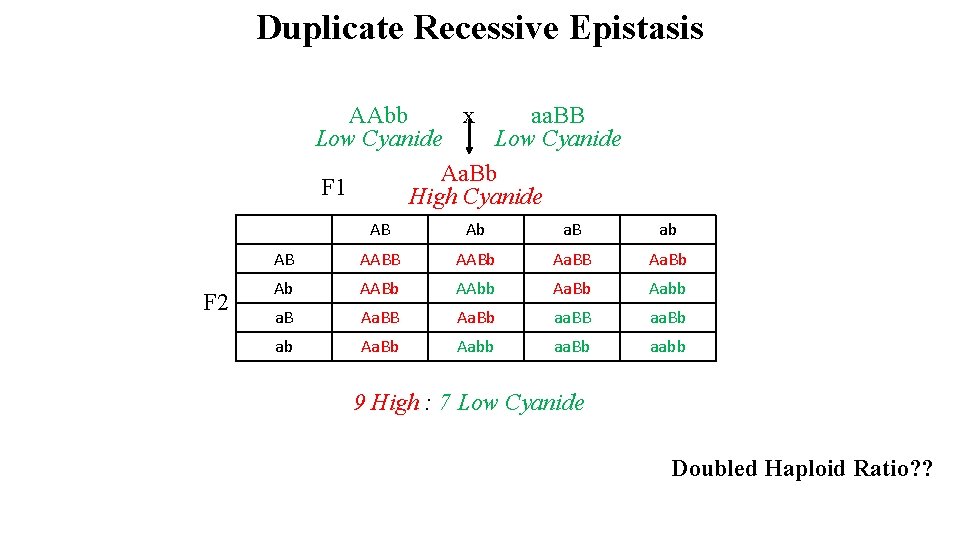 Duplicate Recessive Epistasis AAbb x aa. BB Low Cyanide Aa. Bb F 1 High