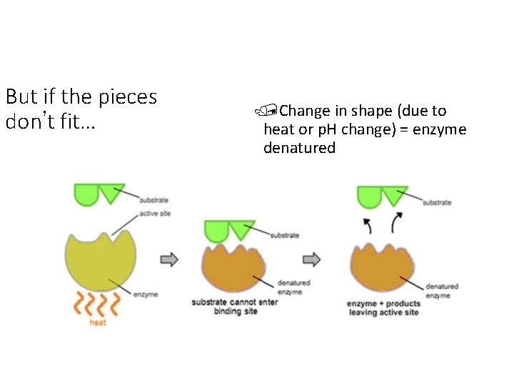 But if the pieces don’t fit… /Change in shape (due to heat or p.